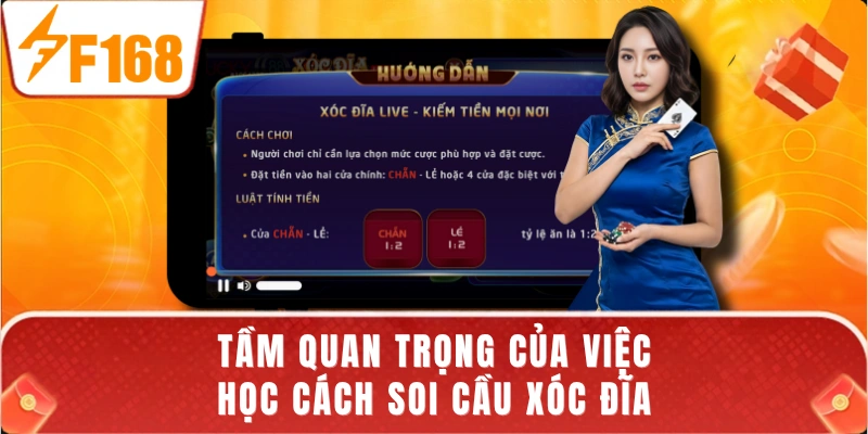 Tầm quan trọng của việc học cách soi cầu Xóc Đĩa