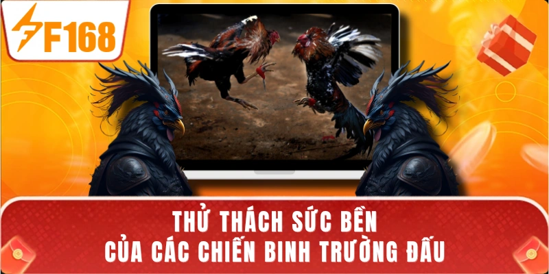 Thử thách sức bền của các chiến binh trường đấu